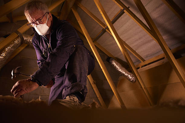 Best Geographic-Specific Insulation Services in Amherst, TX